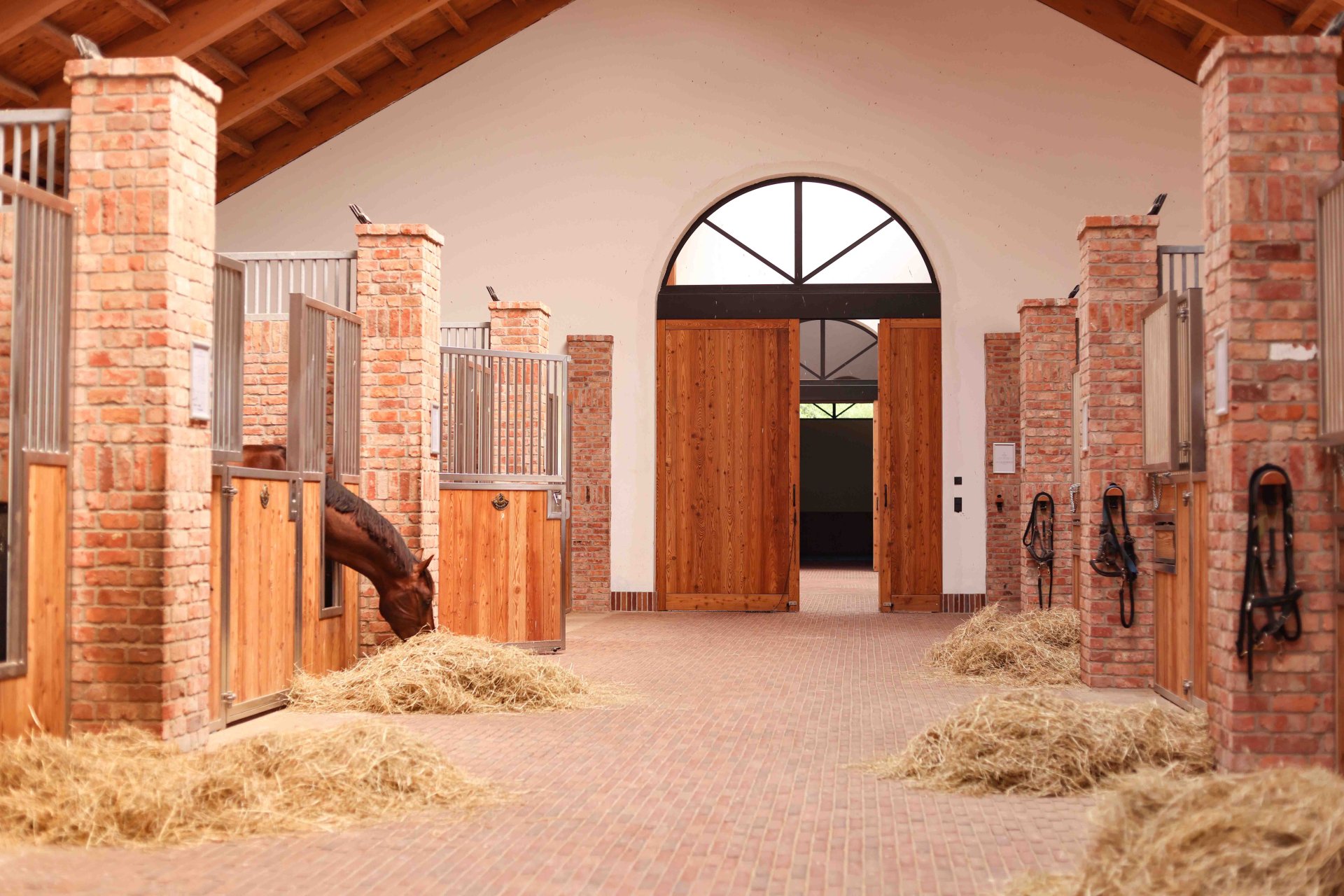 Horses standing in their boxes and eating hay in the stable lane