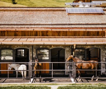 Röwer & Rüb Paddocks mit Pfernden