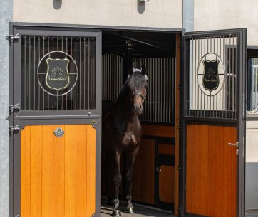 Le cheval regarde hors de la porte avec son propre logo
