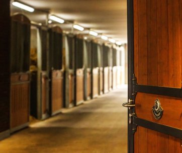 Offene Stalltür mit Blick in den beleuchteten Pferdestall von Wolfshoeve mit mehreren Boxen in einer sauberen und gepflegten Stallgasse