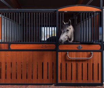 Écurie moderne par Röwer & Rüb avec grille à barreaux thermolaquée et remplissage en bois de bambou. Un cheval gris regarde curieusement hors de son box. Conseils d’entretien pour le revêtement en poudre