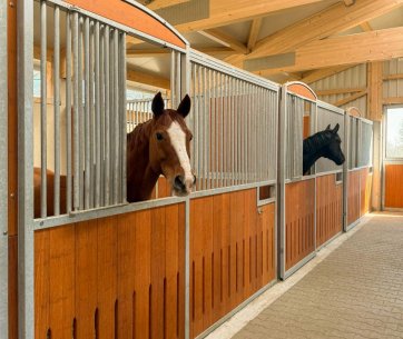 Deux chevaux dans des boxes modernes système modulaire au dressage Knoll