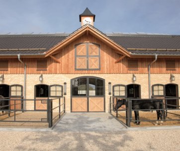 Équipement d’écurie avec écurie haut de gamme en brique et bois, portail central cintré, horloge et plusieurs paddocks extérieurs avec chevaux.