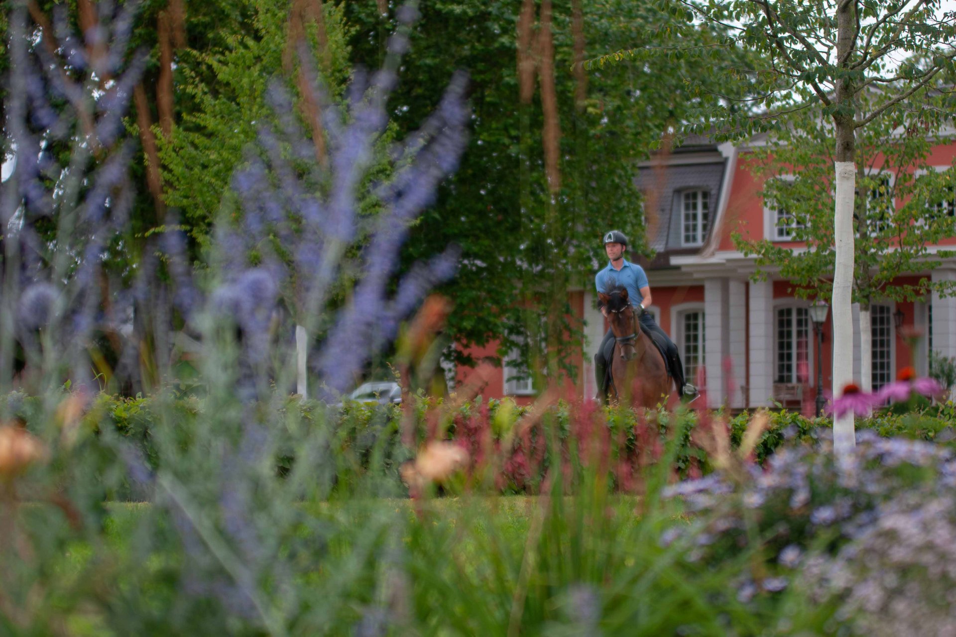 Reiter mit Pferd reitet vor einer Blumenwiese