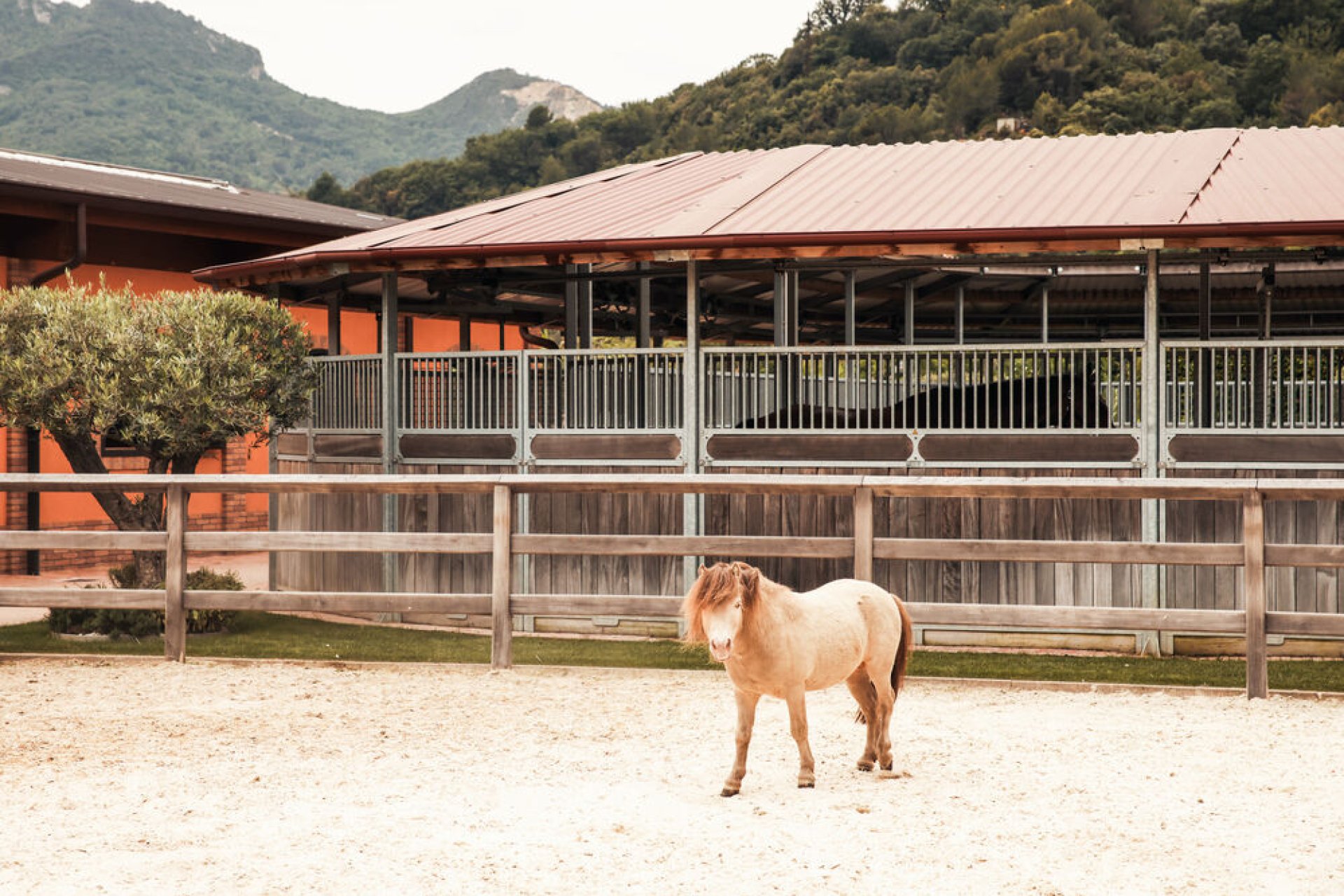 Springanlage von LO&F Horses mit Häusern im Hintergrund