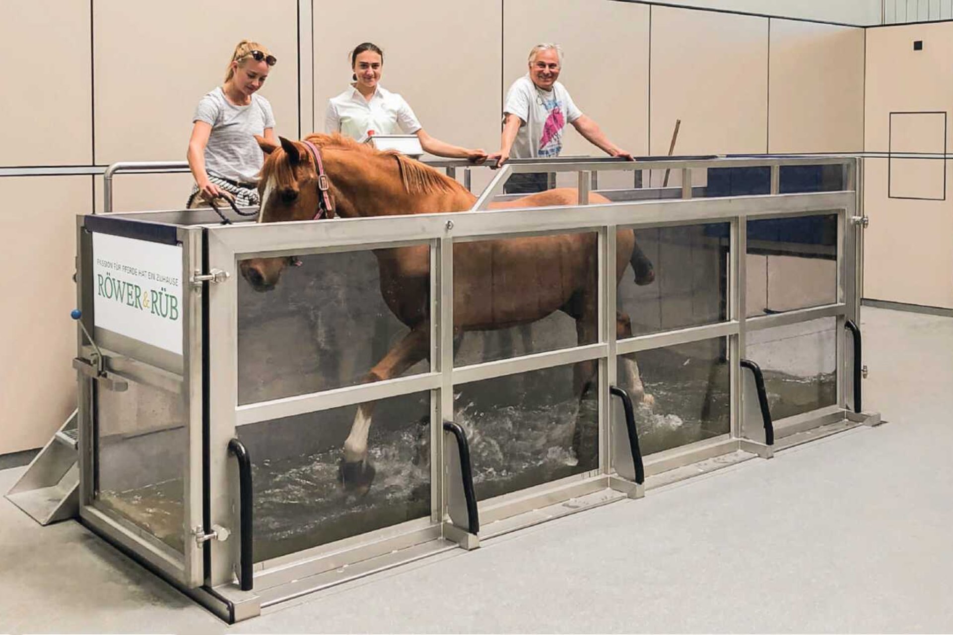 Pferd trainiert im Aquatrainer und wird von Besitzern beobachtet