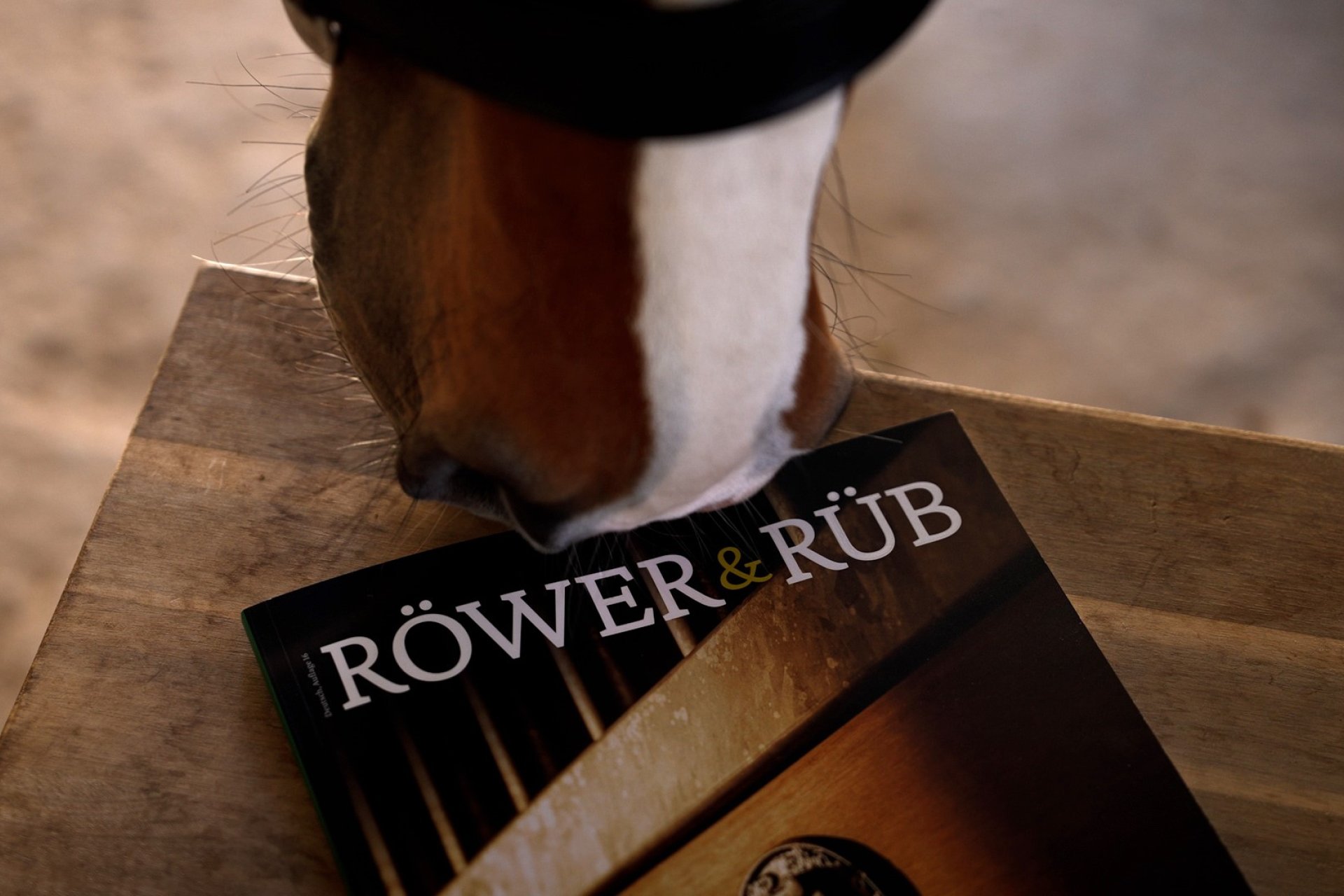 Röwer & Rüb Catalogue 16 – Téléchargez maintenant: Équipements d'écurie haut de gamme et boxes pour chevaux