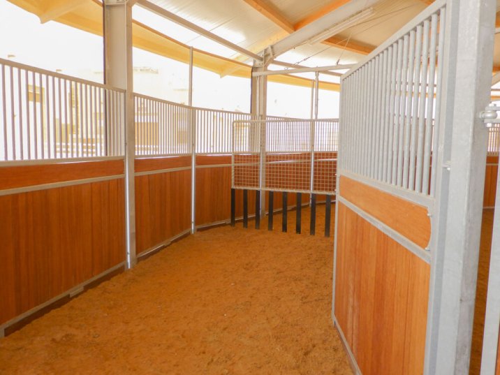 Interior view of the horse walking area in a horse walker