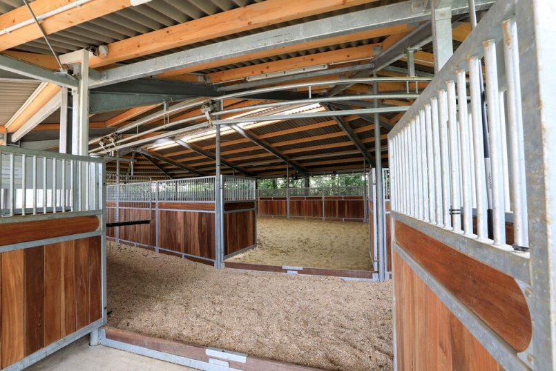 View in a horse walker with lunging arena
