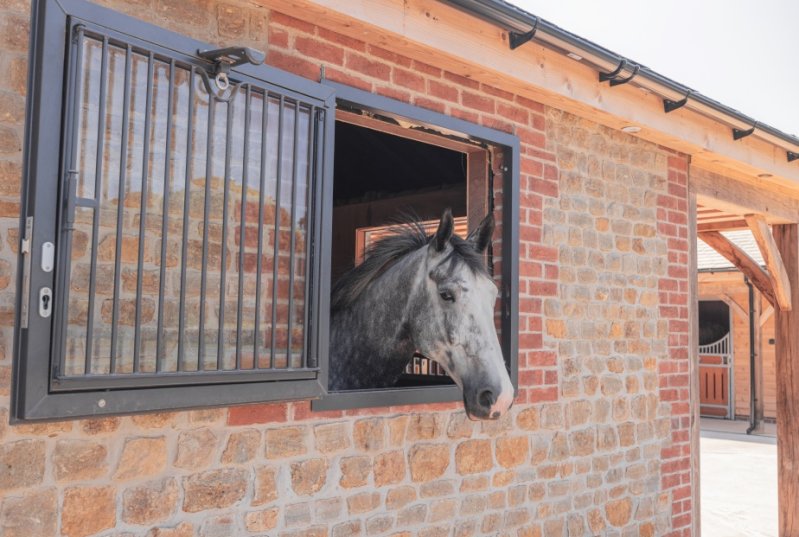 Équipement d’écurie avec fenêtre anthracite et grille de protection, à travers laquelle un cheval gris regarde dehors.